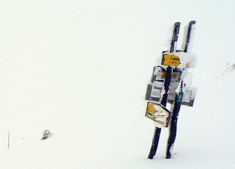 skialp-aktual-zo-zamracenej-ziarskej-doliny